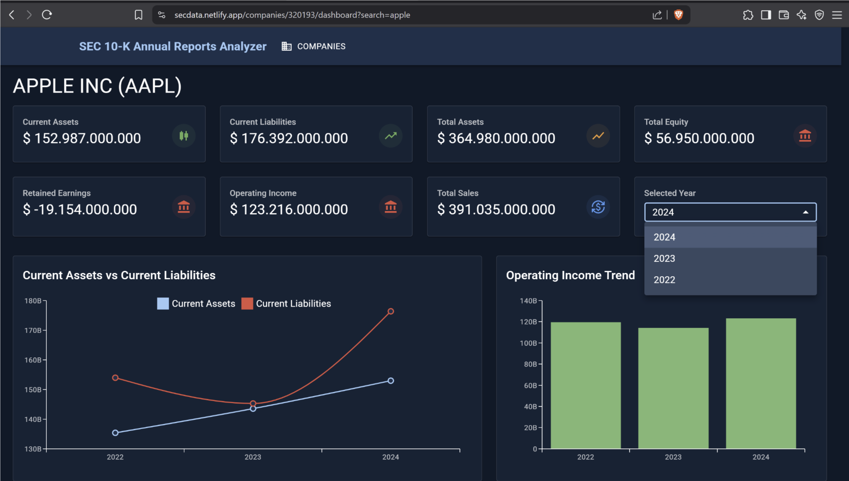 SEC 10-K Analyzer screenshot 1